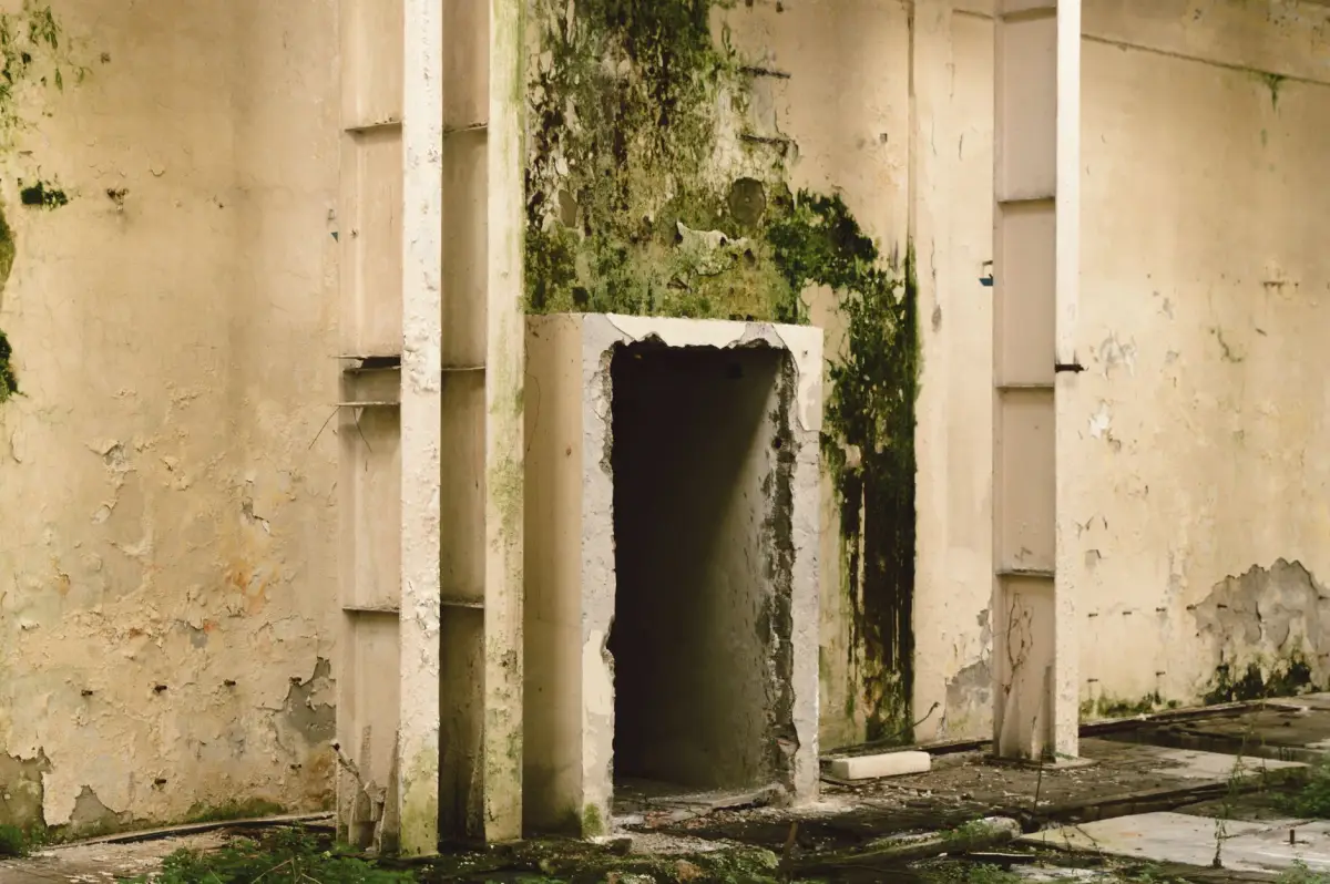 Mur intérieur dégradé par l'humidité